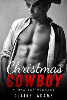 Christmas Cowboy (A Standalone Holiday Romance Novel) Read online