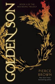 Golden Son Read online