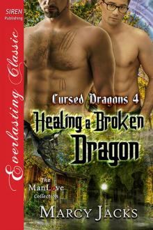 Healing a Broken Dragon Read online
