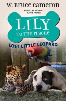Lily to the Rescue: Lost Little Leopard Read online
