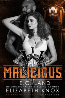 Malicious: A Nomad Biker Novel (Raiders of Valhalla MC Book 1) Read online