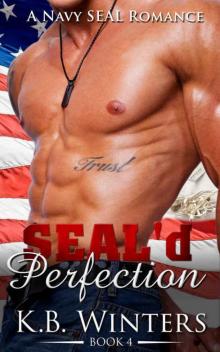 SEAL'd Perfection Book 4 Read online