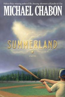 Summerland Read online