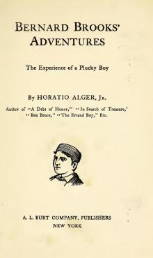 Bernard Brooks' Adventures: The Experience of a Plucky Boy Read online