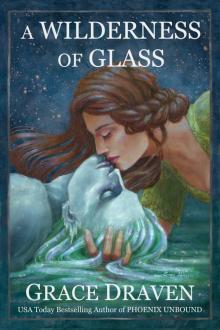 A Wilderness of Glass Read online