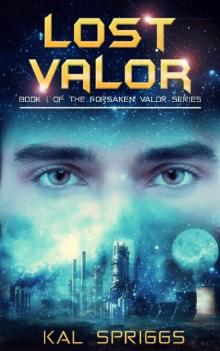 Lost Valor Read online