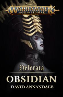 Obsidian - David Annandale Read online