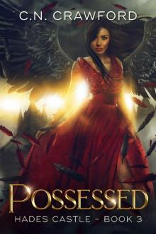 Possessed (Hades Castle Trilogy Book 3) Read online