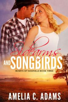 Sidearms and Songbirds (Hearts of Nashville Book 3) Read online