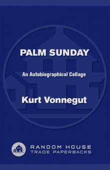 Palm Sunday: An Autobiographical Collage Read online