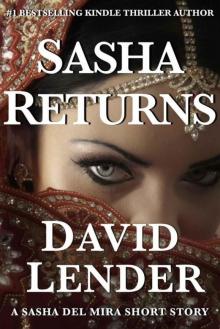 Sasha Returns Read online