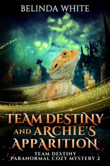 Team Destiny and Archie's Apparition (Team Destiny Paranormal Cozy Mystery Book 2) Read online