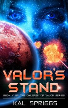 Valor's Stand Read online