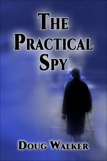 The Practical Spy Read online