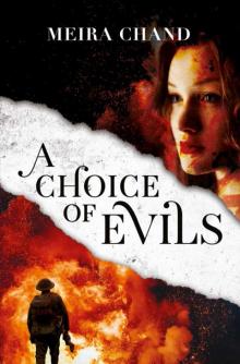 A Choice of Evils Read online