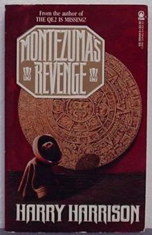 Montezuma's Revenge Read online