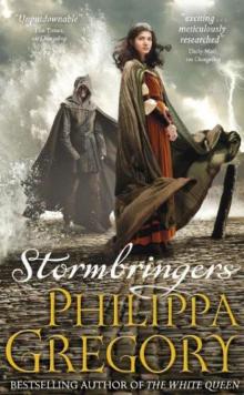 Stormbringers Read online