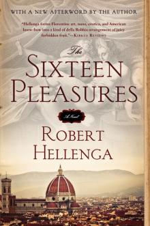 The Sixteen Pleasures Read online