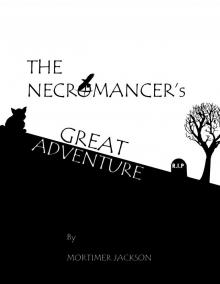 The Necromancer's Great Adventure Read online