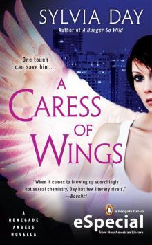 A Caress of Wings Read online