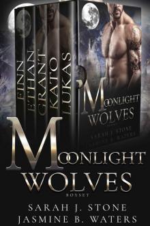 Moonlight Wolves Box Set Read online