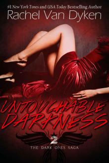 Untouchable Darkness Read online