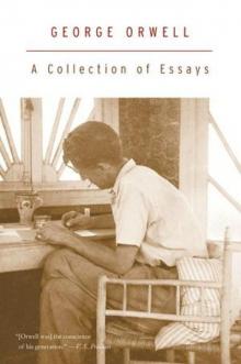 A Collection of Essays Read online
