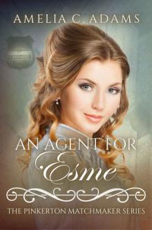 An Agent for Esme Read online