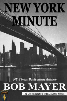 New York Minute Read online