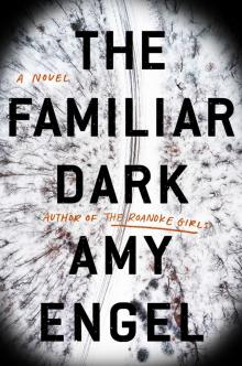 The Familiar Dark Read online