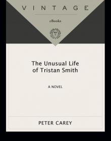 The Unusual Life of Tristan Smith Read online
