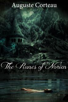 The Runes of Norien Read online