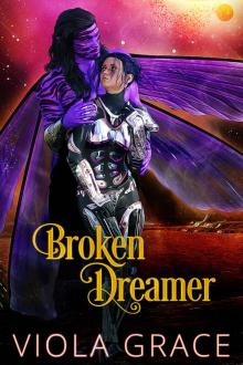 Broken Dreamer Read online