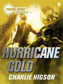 Hurricane Gold Read online