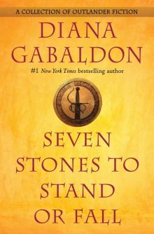 Seven Stones to Stand or Fall Read online