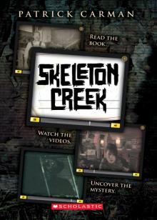 Skeleton Creek Read online