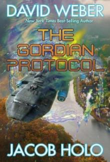 The Gordian Protocol Read online