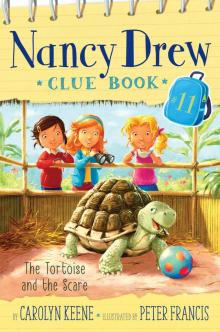 The Tortoise and the Scare Read online