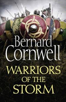 Warriors of the Storm Read online
