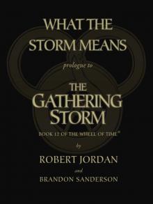 What the Storm Means Read online