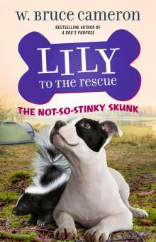 Lily to the Rescue: The Not-So-Stinky Skunk Read online