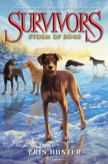 Storm of Dogs Read online