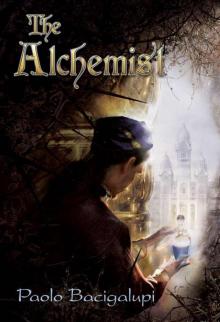 The Alchemist Read online