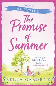 The Promise of Summer, Part 2 Read online