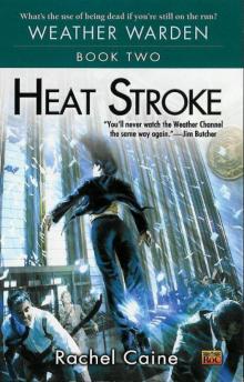 Heat Stroke Read online