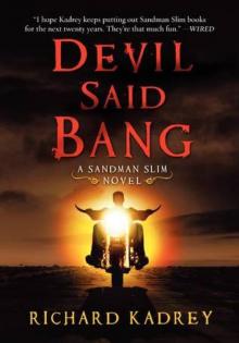 Devil Said Bang Read online