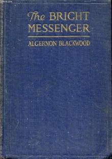 The Bright Messenger Read online