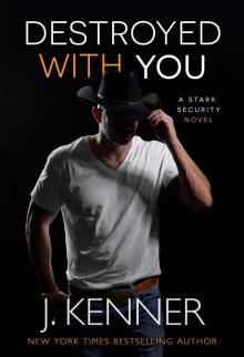Destroyed With You Read online