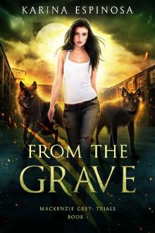 From the Grave Read online