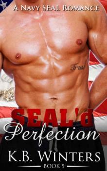 SEAL'd Perfection Book 5 Read online